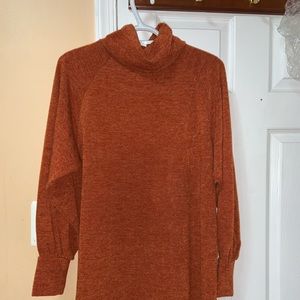 Turtle neck long sleeve dress